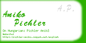 aniko pichler business card